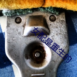 女配是(shì)重生(shēng)的