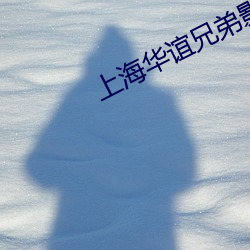 上海華誼兄弟影院