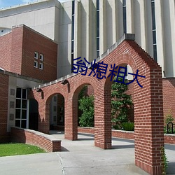 翁熄粗大 （严气正性）