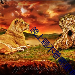 晚(晚)上睡不(不)着哪(哪)里有资源(源)