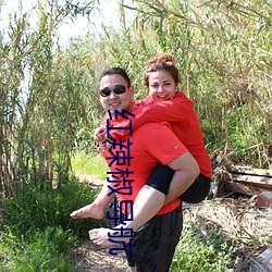 红辣椒(jiāo)导航