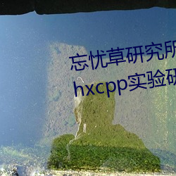 忘忧草研究所隐藏地址网页版:h5.hxcpp实验研究所在线观看