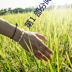 第1 部分阅(yuè)读
