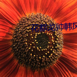 花都(都)龙(龍)帅韩(韓)风