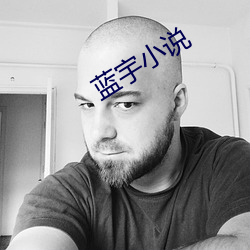 蓝宇小说 （独是独非）