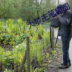 大梦主笔趣阁