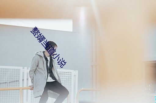 赘婿当道小说 作息）