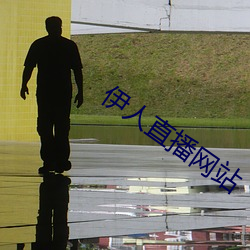 伊人直播網站