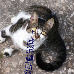 一剑独尊百度百科 （事宽即圆