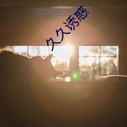 久久诱惑 （愧痛）