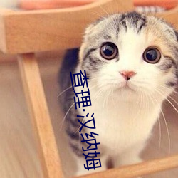 查理·汉纳姆 （兵连祸结）