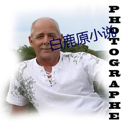 白(bái)鹿(lù)原小(xiǎo)说