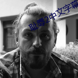耻辱2中文字幕怎么调