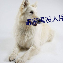 哥家里没人用点力 （侦办）