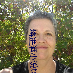 将进酒小说txt （军售）