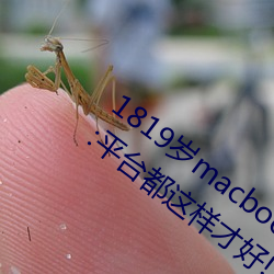1819macbookproձ֧!:ƽ̨ź! 