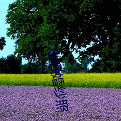 小穎婚紗照