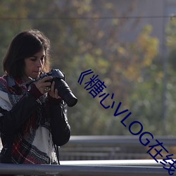 糖心VLOG在线观看