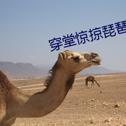 穿堂惊掠琵琶声