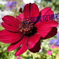 米乐M6·(中国)官方网站