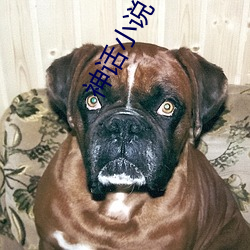 神(神)话小说(說)