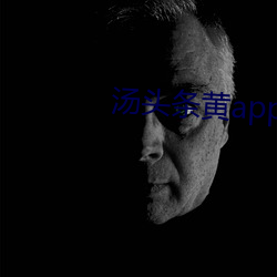 汤头条黄app下载