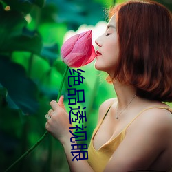 尊龙凯时·(中国)官方网站