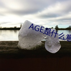 AGE是什么意(意)思