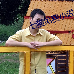 七猫免(免)费小说