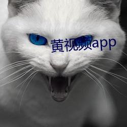 黃視頻app