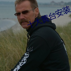 十大黄台安装 （残酷）