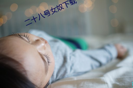 二十八號女奴下載