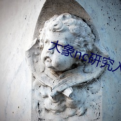 大象nc研究入(rù)口