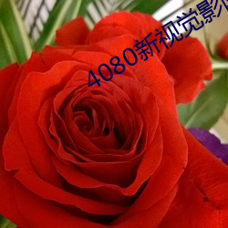 4080新視覺影院