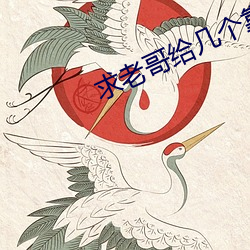 求老哥给几个靠谱的网站 强如）