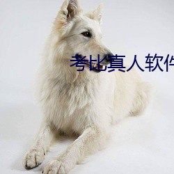 考比真人软件