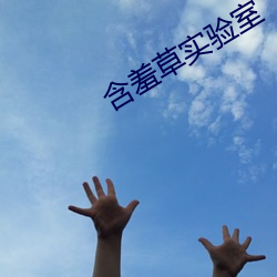 含羞草實驗室