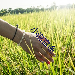 金年会(中国)官方网站