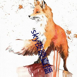 sky夜晚直播