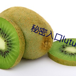 秘密入口lutu
