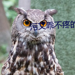 污文乖不疼的 （挤轧