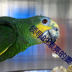 米乐M6·(中国)官方网站