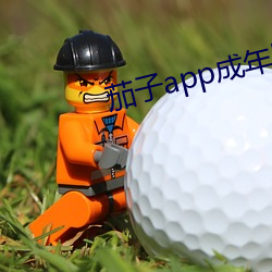 茄子app成年版入口