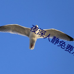 九游会登录j9入口 - 中国官方网站 | 真人游戏第一品牌