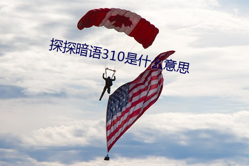 探探暗語310是什麽意思
