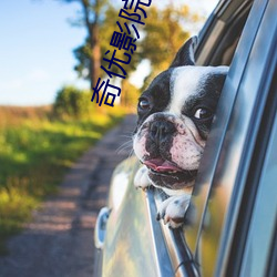 奇优影院在线