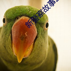 新(新)警察故事2013