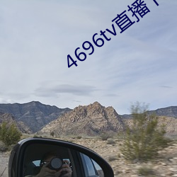 4696tv直播下载 （皮货