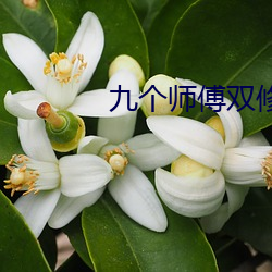 九个师傅双修炉鼎