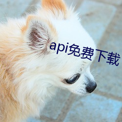 api免费(費)下(下)载